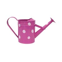 Vattenkanna, cerise med prickar