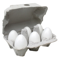 Ägg i kartong