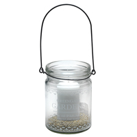 Glass Jar Gardens with handle